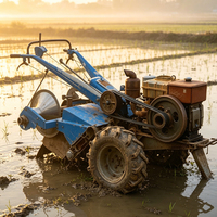Tracteur à chenilles diesel 15HP DLH1100 |   Tracteur agricole à deux roues à double usage avec pneus 6.00-16 et roues en fer pour rizières et terres sèches