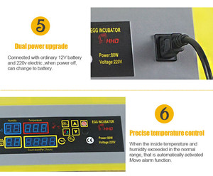 HHD AC DC 12V incubadora de huevos <span class=keywords><strong>precio</strong></span> de la máquina automática 56 incubadora de huevos de aves de corral - Product Image 5