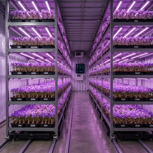 Système CVC à flux d'air optimisé pour la réduction <span class=keywords><strong>de</strong></span> la consommation d'énergie, conteneur mobile pour la culture du <span class=keywords><strong>safran</strong></span> en agriculture verticale toute saison - Product Image 2