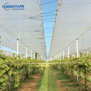 樱桃树或温室用增强hdpe机织织物塑料防雨罩透明塑料防水布