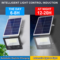 Lampu Sorot LED Tenaga Surya Luar Ruangan IP65 Tahan Air dengan Remote Control untuk Taman Halaman Dinding