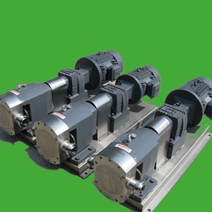Bomba de Lóbulos Rotatorios de Grado Alimenticio, Bomba de Lóbulos Sanitaria, Bomba de Rotor de Acero Inoxidable, Eléctrica - Product Image 4