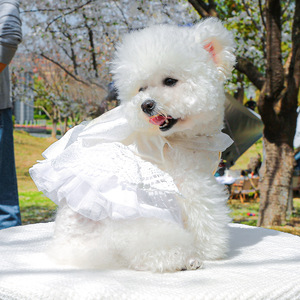 Vestidos de Novia Blancos de Perlas al por Mayor para Perros Pequeños y Medianos, Nueva Llegada, Vestidos de Noche de Verano - Product Image 5