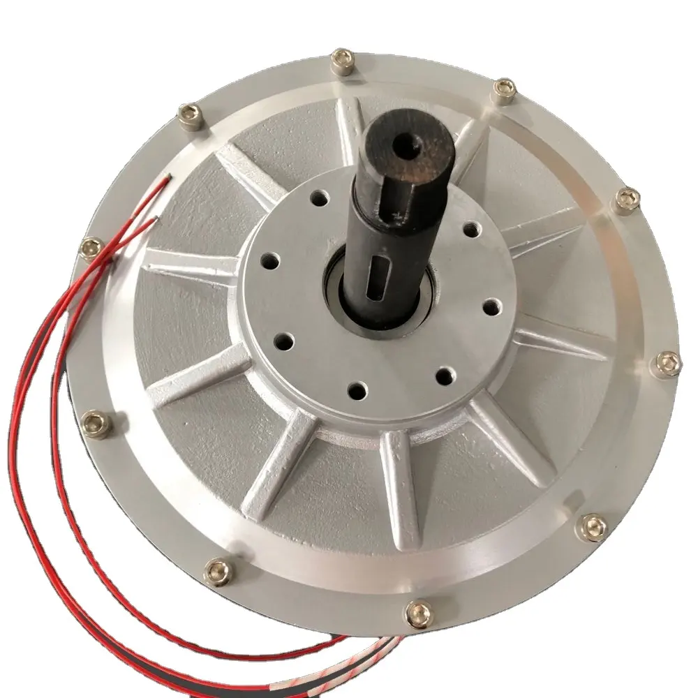 Customized CE 3kw 3000ワット1200rpm 220v AC Inner Rotor Small Mini Electric Power PMA PMG Permanent Magnet Generator Alternator