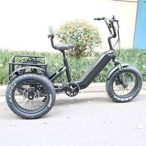 48V Lunbund 20 pouces tricycle vélos 30-50 Km/h vélo à trois roues vélo avec une <span class=keywords><strong>remorque</strong></span> cargo <span class=keywords><strong>pour</strong></span> adultes - Product Image 6