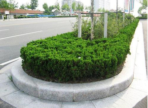 Molde de Plástico para Bloques de Hormigón Prefabricados para Bordillos de Carretera, el Más Popular - Product Image 3