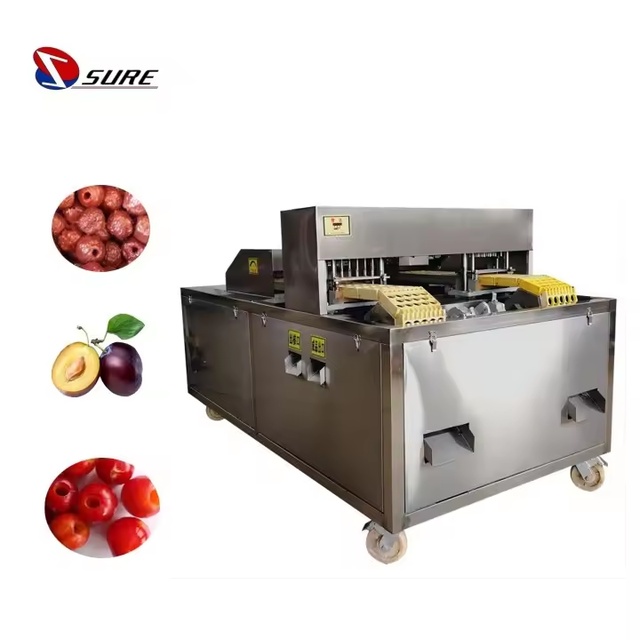 Easy Operation Olive Pitting & Stuffing Machine Peach Pitting Machine Red Jujube Seed Pitting Machine