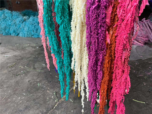 SZ04111 Flores reales de alta calidad <span class=keywords><strong>Amaranto</strong></span> seco preservado Decoración de la boda Flores preservadas <span class=keywords><strong>Amaranto</strong></span> para la venta - Product Image 6