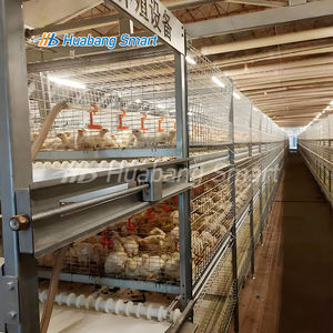 <span class=keywords><strong>Cage</strong></span> à poulets entièrement automatique galvanisée à chaud, la plus récente et la plus vendue en <span class=keywords><strong>2025</strong></span>, durable et antirouille, <span class=keywords><strong>cage</strong></span> à poulets de chair - Product Image 3