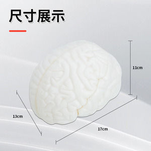 Modèle d'anatomie du cerveau : naturel, grand format, hémisphères du tronc cérébral humain détachables en 3 parties - Modèle pédagogique et de démonstration - Product Image 1
