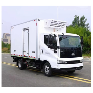 Fourgonnette frigorifique Foton, camion électrique - Product Image 6