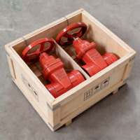 Vanne à opercule rainurée en fonte ductile pour lutte contre l'incendie, type OSY, 200 PSI, dispositif de sécurité pour réseau d'hydrant, à volant manuel, à joint élastique