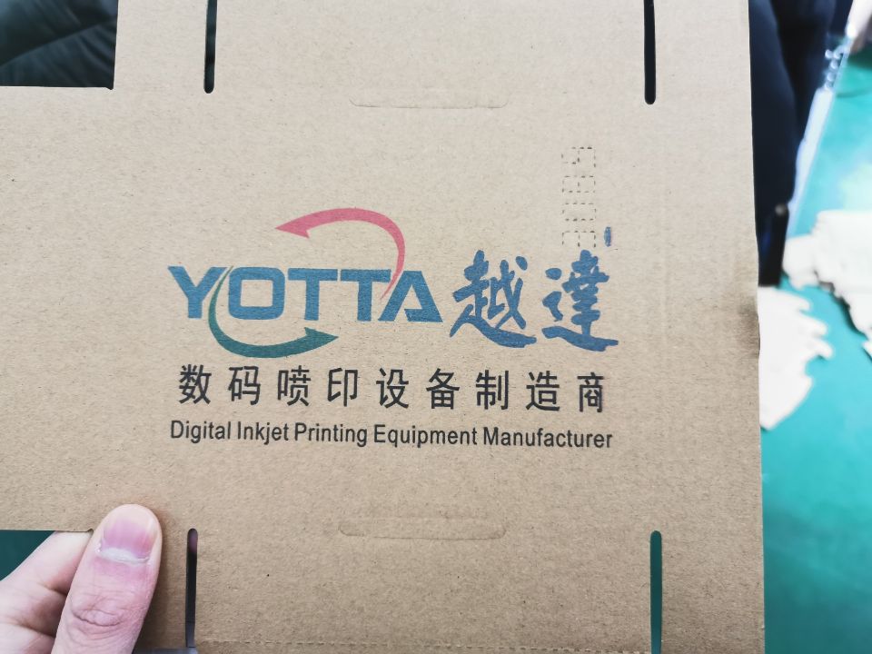 High speed single pass printer for corrugated carton box kraft bag