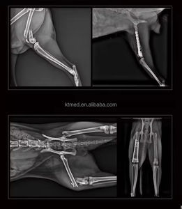 Équipement vétérinaire de radiographie et de tomodensitométrie haute résolution 4-en-1 KT-WCT01 VET, <span class=keywords><strong>prix</strong></span> d'usine pour les hôpitaux - Product Image 4