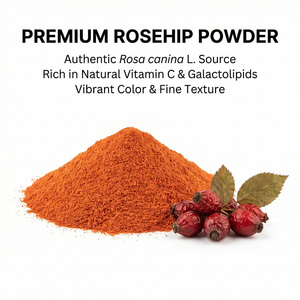 Ekstrak <span class=keywords><strong>Rosehip</strong></span> Alami Vitamin C 17%/Polifenol <span class=keywords><strong>10%</strong></span>/GOPO Antioksidan Cairan Perbaikan Kulit Larut Air Kelas Makanan Pabrik - Product Image 1