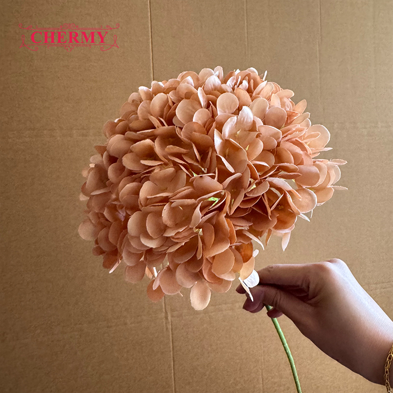 #11 café - Hortensias à grosse tête de 18 cm
