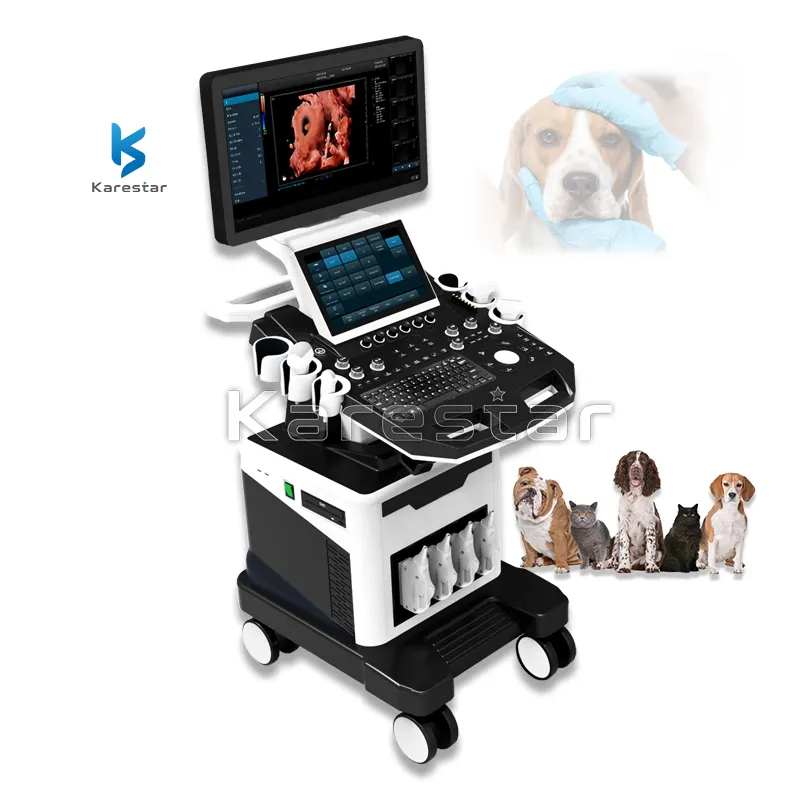 Ветеринарная тележка 3D 4D 5D Цветной Допплер портативный ультразвуковой сканер цифровой ультразвуковой системы