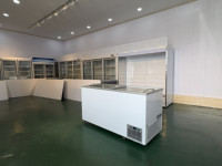 Refrigerador Industrial de Una Temperatura con Congelador Inferior, Control Digital y Estantes Ajustables para Uso en Supermercados, 950L