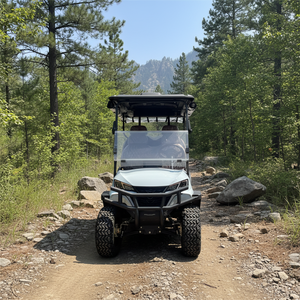 High Performance Golf Cart Customizable Club Car 4 <b>Wheel</b> Scooter Off Road Lithium Golf Car Golf Cart Club Car Golf Buggy Prices - Product Image 5