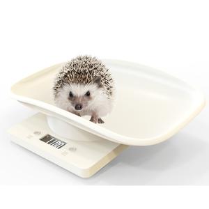 स्मार्ट वेट स्केल नवजात पशु वजन शेष 10 किलोग्राम एक्सप्रेस स्केल छोटे इलेक्ट्रॉनिक वजन पालतू पैमाने - Product Image 1