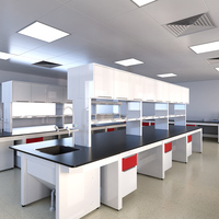 Customizable Analytical & Testing Equipment Lab Instrument Bench-Stable Laboratory Bench with Cable Management & Accessory