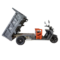 Heavy Duty Elektrische Cargo Driewieler 3 Wiel Vracht Trike 1000W 60V voor Fruit Groente Markt Verkoper Kruideniersvervoer