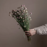 Vente en gros gousses de nigelle séchées naturelles pour décoration de vase de fête mariage