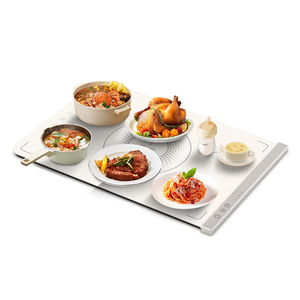 Nouveauté : Tapis chauffant pliable en silicone pour aliments, <span class=keywords><strong>plateau</strong></span> chauffant électrique en silicone avec température réglable - Product Image 1