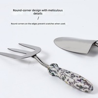 Ensemble d'outils de jardinage en acier inoxydable, deux pièces, directement de l'usine : plateau de plantation de fleurs, pot décoratif, arrosoir, outils de jardinage pour plantes