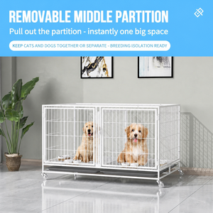 Gabbia Rettangolare in Metallo a Più Livelli e Partizioni per Allevamento e Pensionamento di Gatti in Negozi di Animali e per l'Allevamento in Tutte le Stagioni - Product Image 3