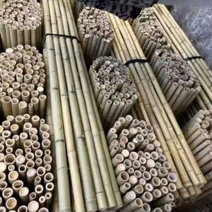 Supports pour plantes en bambou, piquets agricoles en bambou naturel séché, écologiques, durables, fournisseur en gros du Vietnam - Product Image 4