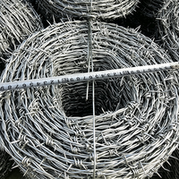 Grillage barbelé en fer recouvert de PVC OEM avec des performances de sécurité à long terme pour la protection agricole, ferroviaire et des cours arrière