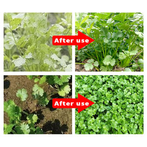 高収量コリアンダー用特殊肥料有機水溶性肥料有機肥料コリアンダー肥料 - Product Image 3