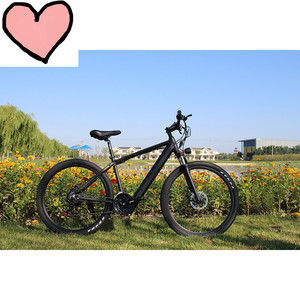 Kit de bicicleta eléctrica de montaña, bici con suspensión completa, neumáticos anchos 26, 350W, tailandesa <span class=keywords><strong>foxter</strong></span> - Product Image 2