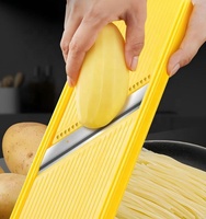 2-in-1 Mandoline Snijder Handmatige Groentesnijder 1,7 mm Julienne Keuken Keukenapparaat Vaatwasmachinebestendig Verstelbaar PP Plastic