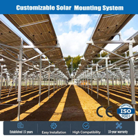 Système d'installation solaire agricole en usine, support de montage au sol Agri-PV, structure de montage photovoltaïque à double usage pour ferme solaire