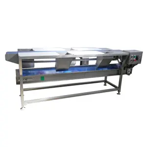 Convoyeur de tri à double couche Suote Customize Adjust Speed Conveyor Belt Price