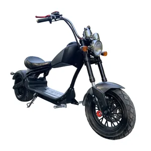 Low Price Fashionable Design Powerful Motor Green Zero Motos Electric Adult Electric Motorcycle 1200W Electric