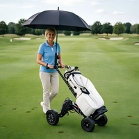 Scooter de golf avec batterie amovible, scooter électrique pour parcours de golf, prix d'usine, fournisseur OEM ODM