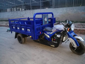 Triciclo Motorizado de Tres Ruedas para Pasajeros y Uso Agrícola, Precio al por Mayor - Product Image 6