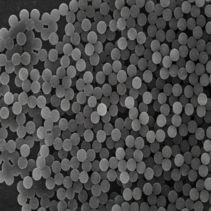 Microesferas Carboxiladas Superparamagnéticas para el Desarrollo de Inmunoensayos, Separación de Biomoléculas y Diagnóstico - Product Image 1