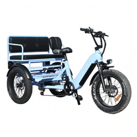 Tricycle électrique 500w à pneus larges pour la famille, tricycle à trois roues, vélo électrique de transport pour adultes, vélo électrique vintage, siège passager assorti, vélo électrique