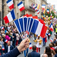 Drapeau à main personnalisé en gros avec bâton en plastique, impression recto-verso en polyester 100D, drapeau à agiter pour événements sportifs et défilés