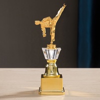 Coupe de trophée en plastique fabriquée en Chine pour la boxe, le taekwondo, le karaté, les arts martiaux T28