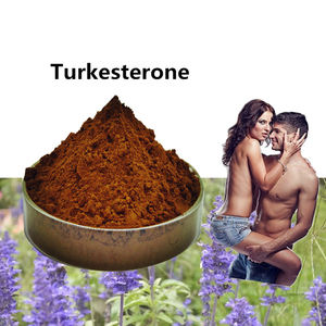 Estratto di <span class=keywords><strong>Turkesterone</strong></span> ad Alta Purezza 40% 10% 1% Integratore Organico in Polvere di Ajuga <span class=keywords><strong>Turkesterone</strong></span> - Product Image 2
