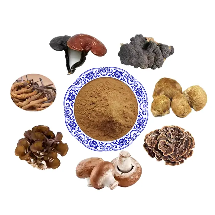 Private Label Superfood Mushroom Blend Powder Mushroom Mix Powder Organic Mushroom Powder