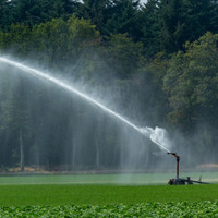 Arroseur à canon métallique réglable à 360° avec composants en acier inoxydable, portée de 80 m pour l'irrigation des terres agricoles