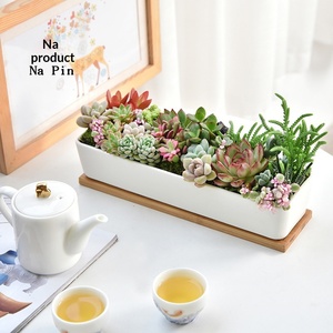Pot à fleurs en céramique Napin pour l'exportation, pot long en porcelaine blanche exclusif pour plantes succulentes, idéal pour le commerce électronique transfrontalier - Product Image 1
