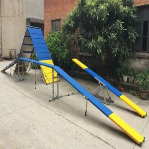 12FT <strong>Dog</strong> Agility Training Equipment <strong>Dog</strong> Agility Long-Walk Climb <strong>Ramp</strong> - Product Image 1