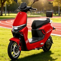 Vélo électrique de ville, moteur sans balais, double suspension, frein à disque, écran LED, roues, batterie au plomb, 1500W, Pit Bike, Streetbikes, 60V